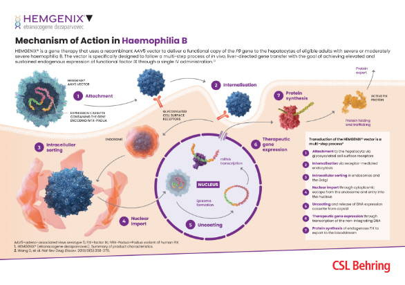 Mechanism of action HEMGENIX