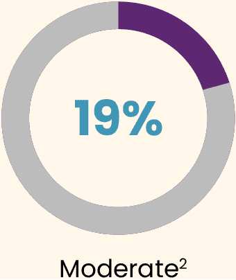 Graph 19% Moderate